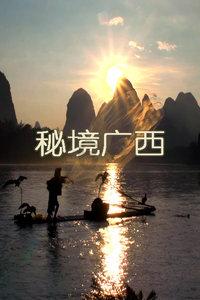 探索知识星球平台——跪求糖尿病人有效良方,汇聚大师认知